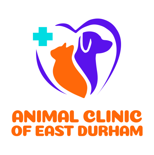 Contact Animal Clinic of East Durham | Vets near Me | Courtice