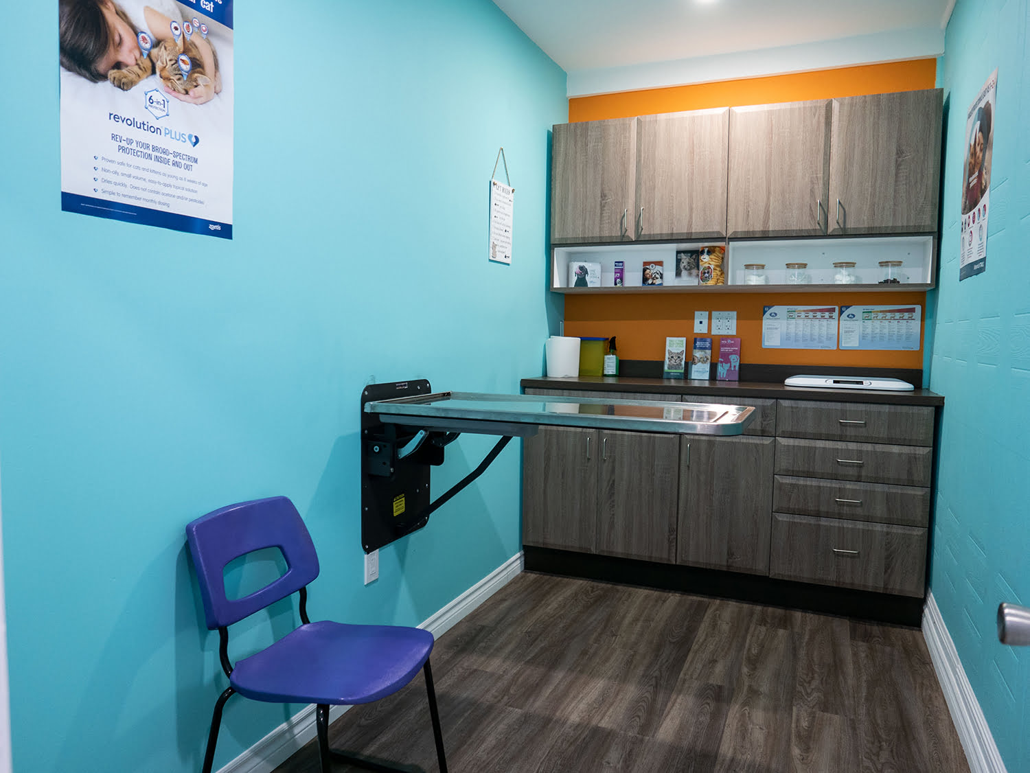 Courtice vet clinic