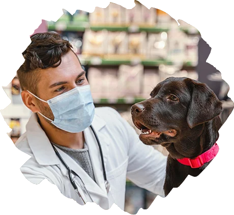 Veterinary diagnostics