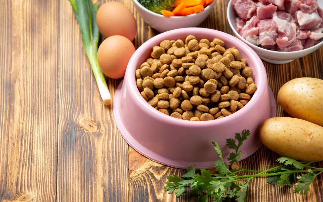 Which Healthy Diet Can Make Your Pet Fit