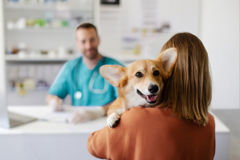 When Does Your Pet Need a Vet? Signs Bowmanville Pet Owners Should Know