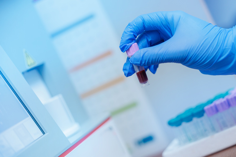 Why Yearly Pet Bloodwork Matters for Long-Term Health