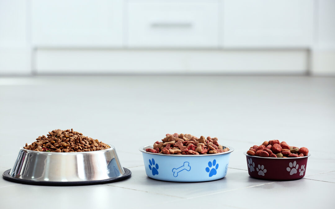 Navigating the Myths and Facts About Boutique Pet Foods