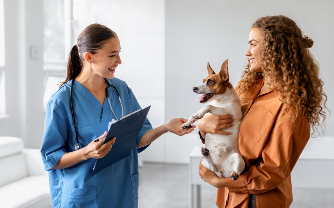 Top 10 Questions to Ask Your Vet in Bowmanville