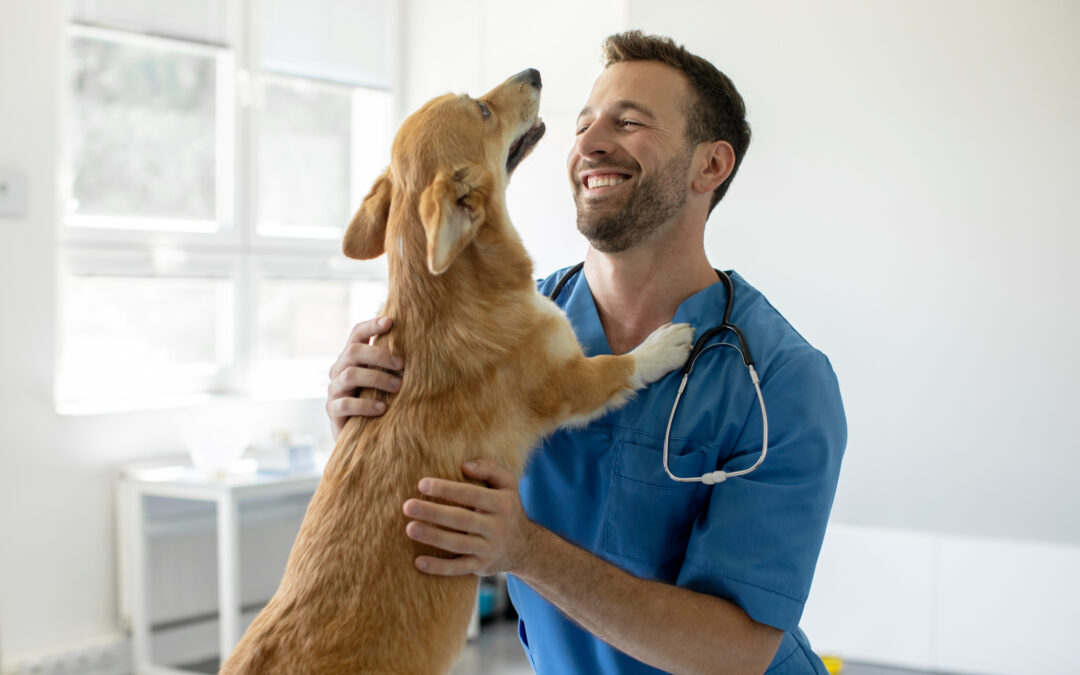 What to Expect at Your First Visit to a Veterinary Clinic in Bowmanville