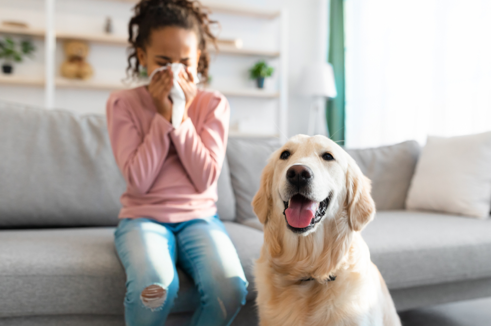Why Is My Dog Coughing? Common Causes & When to See a Vet