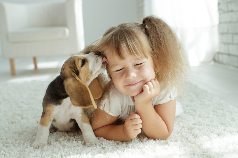 Tips On How To Introduce Pets and Kids